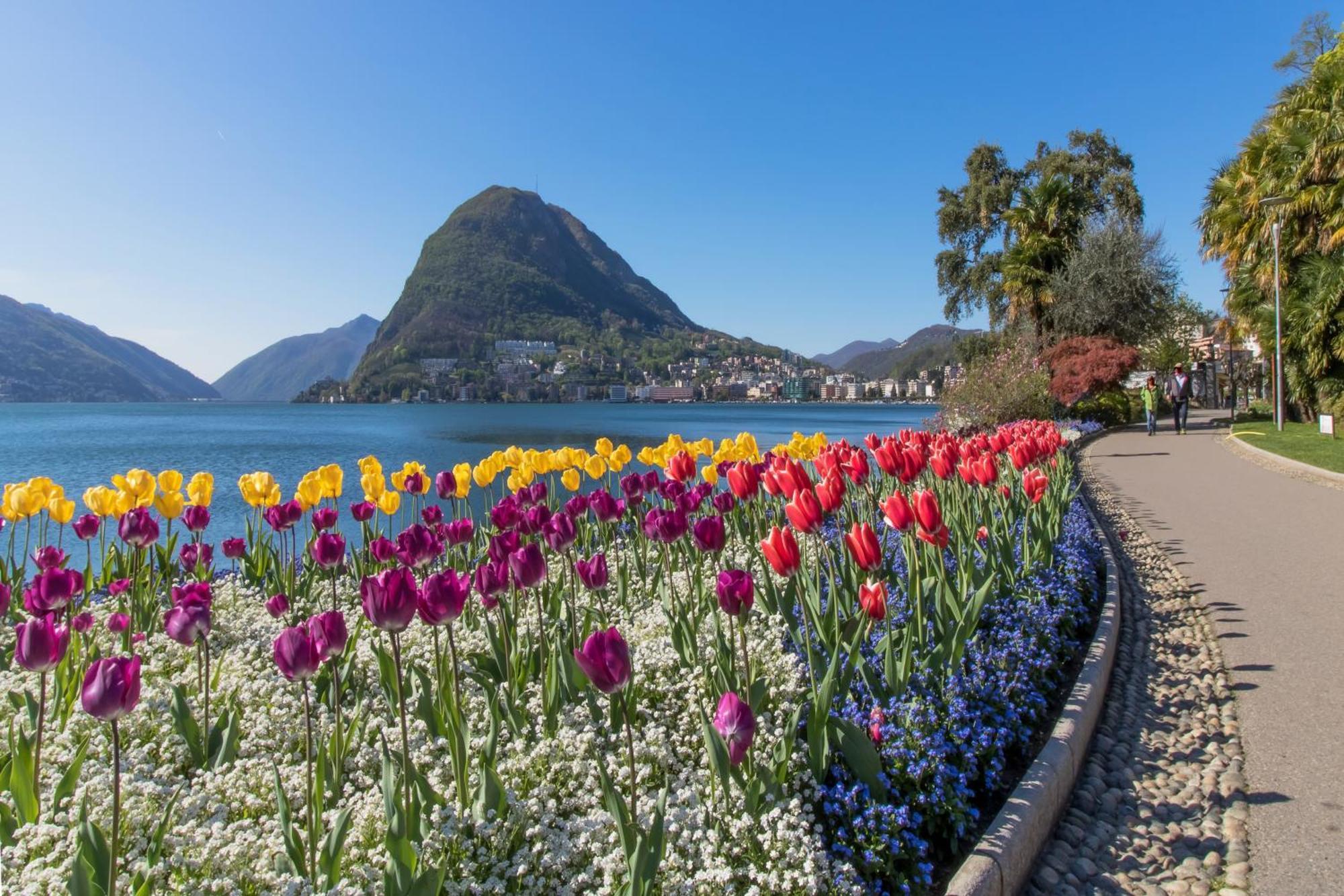 Love Of Lugano - Happy Rentals Esterno foto